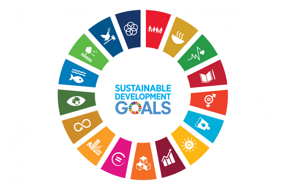 The Sustainable Development Goals