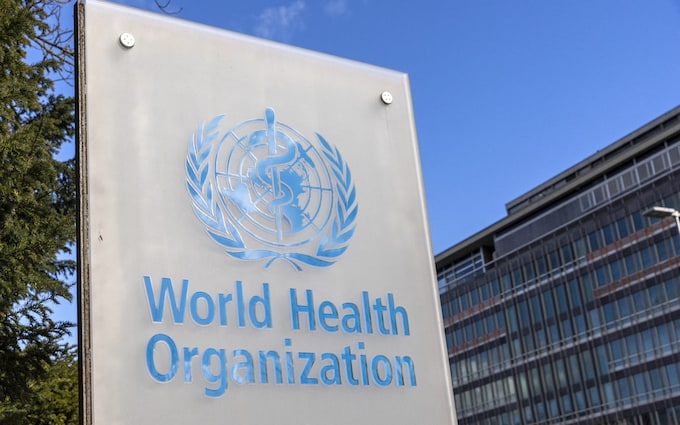 World Health Organization logo