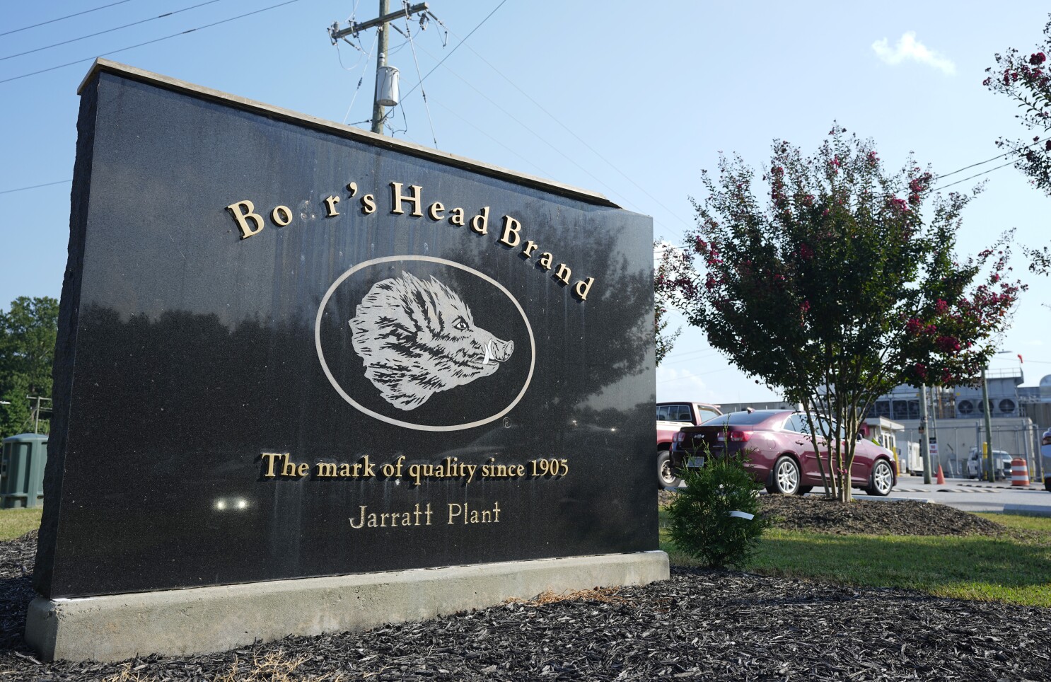 Congress asks whether Boar's Head deli meat plant tied to deadly outbreak will be fit to reopen Congress asks whether Boar's Head deli meat plant tied to deadly outbreak will be fit to reopen