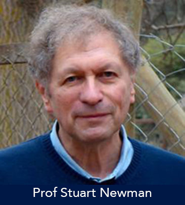 Prof Stuart Newman Prof Stuart Newman